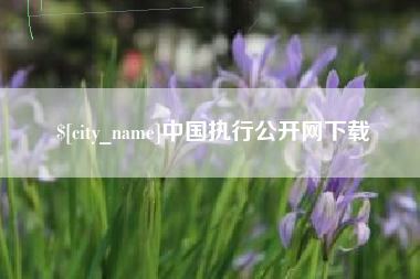 河北中国执行公开网下载