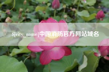 河北中国消防官方网站域名