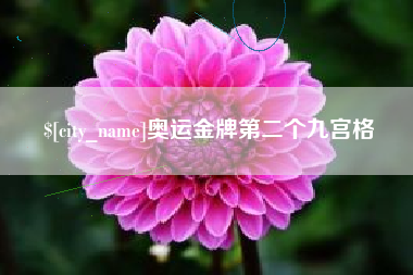 河北奥运金牌第二个九宫格
