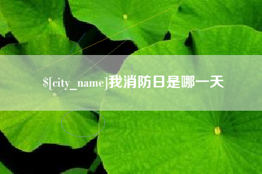 河北我消防日是哪一天