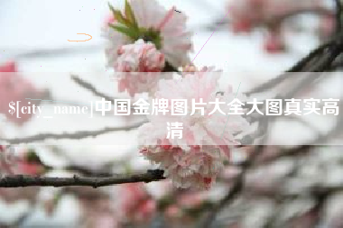 河北中国金牌图片大全大图真实高清