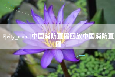河北中国消防直播回放中国消防直播