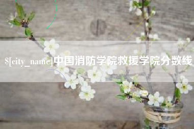 河北中国消防学院救援学院分数线