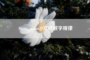 河北9宫格数字规律