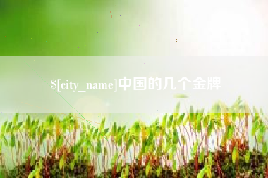 河北中国的几个金牌