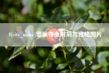河北奥运夺金时刻九宫格图片