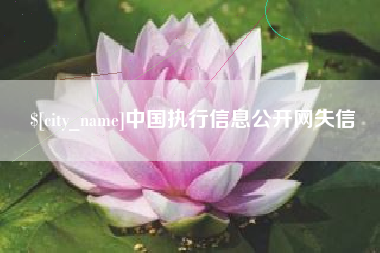 河北中国执行信息公开网失信