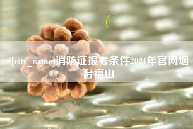 河北消防证报考条件2024年官网烟台福山