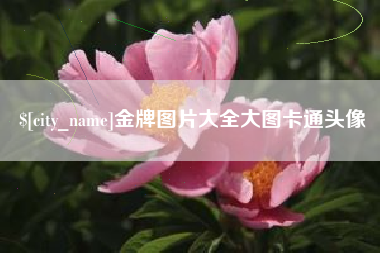 河北金牌图片大全大图卡通头像