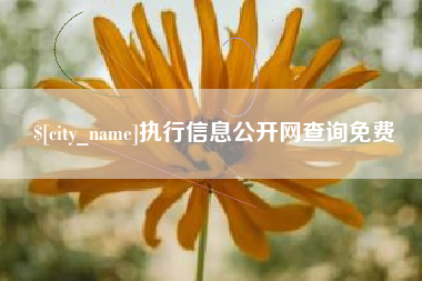 河北执行信息公开网查询免费