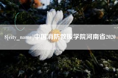 河北中国消防救援学院河南省2020